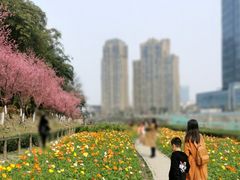 -望江楼公园