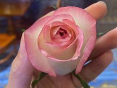 -V Bar海景扒房(北海湾惠龙万达嘉华酒店)