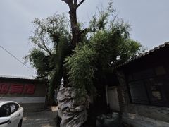 -暖泉古镇