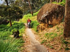 -槟城宝盛园民宿