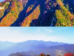 -秦岭风景区