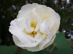 -白塘生态植物园