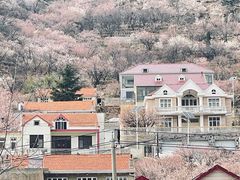 -崂山九水游览区