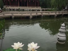 -檀园