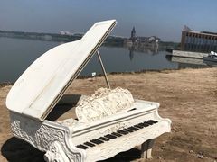 -武清南湖绿博园