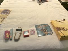 -澳门威尼斯人综合度假区