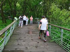 -西湖风景区-江洋畈生态公园