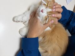 -谐和贝康宠物医院24小时·宠保定点(急重症转诊中心)