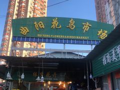 -曲阳花鸟市场(曲阳路店)