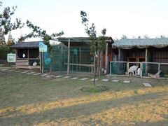 -明珠湖天鹅苑·农家菜馆