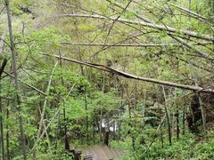 -宁波五龙潭景区