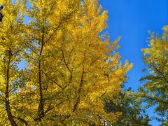 -端仕小锅(文林街店)