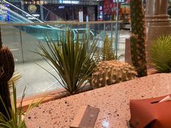-小鹅皇港式餐厅(新抚万达店)