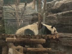 -鄂尔多斯野生动物园