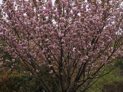 -南京市江宁方山