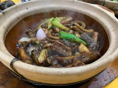 -汤氏美食台山水步特色黄鳝饭(龙津东路店)