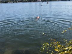 -长春市南湖公园