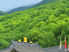 -五台山风景名胜区