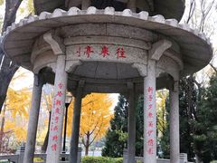 -玲珑塔公园