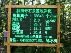 -汤旺河林海奇石景区