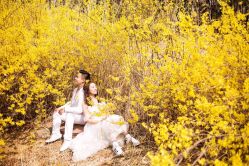 点击看大图 -蒙娜丽莎婚纱摄影(鲁邦店)