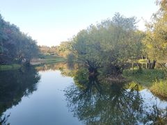 -贡湖湾湿地公园