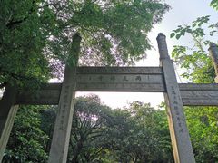 -雨花胜境