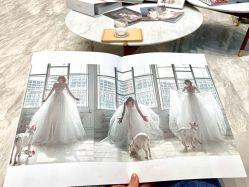 点击看大图 -MuseMarry婚纱(前海嘉里中心店)