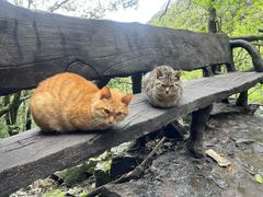 -萍乡武功山风景名胜区