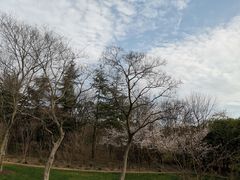 -尚贤河湿地
