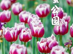 -深圳湾公园(南山区)