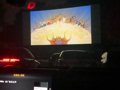 -枫花园汽车电影院(朝阳公园店)