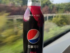-必胜客(大观天地店)