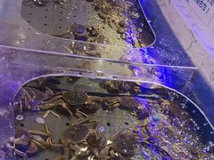 -澜悦港海鲜体验主题餐厅