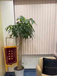-Yestar宁波艺星整形医院
