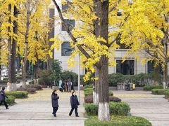 -百林公园-两江幸福广场