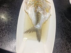 清蒸太湖白鱼-王记姚家味·地道苏帮菜(凤凰街店)