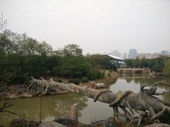 -南昌动物园