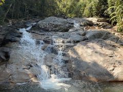 -海南霸王岭国家森林公园