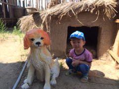 -北纬44度·金珠花海休闲农业旅游景区