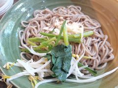 油泼饸饹面-烤牛骨饸饹面(正定店)