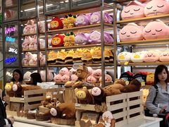 -KAKAO FRIENDS(弘大店)