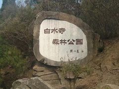 -白水寺森林公园