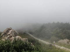 -白草畔自然风景区