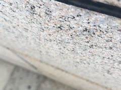 -世博源公馆·本帮融合菜·主题包厢·江景餐厅