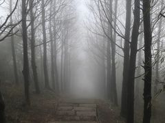 -东白山