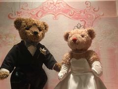 -济州岛泰迪熊博物馆