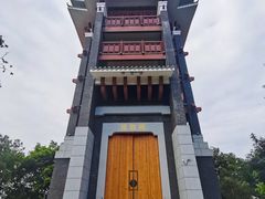 -王借岗森林公园