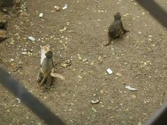 -昆明动物园