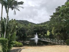 -热带雨林自然公园